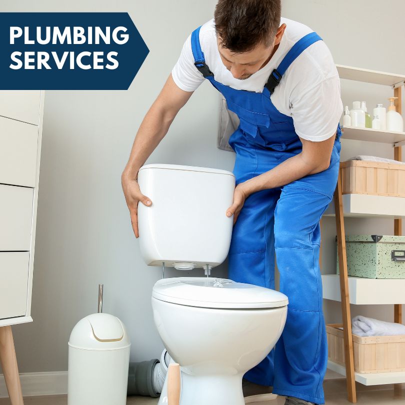 Plumbing Company in Thomasboro, IL